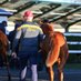 glashareHouseStud (@glashares) Twitter profile photo glashareHouseStud (@glashares) Twitter profile photo