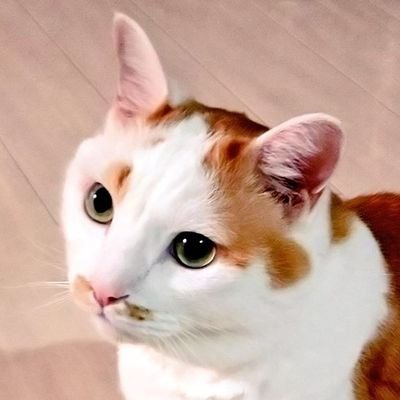 ばびさんのプロフィール画像