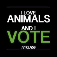 NYCLASS (@nyclass) 's Twitter Profile Photo NYCLASS (@nyclass) 's Twitter Profile Photo