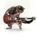Siwat Kongwarakom (@siwat_k) Twitter profile photo Siwat Kongwarakom (@siwat_k) Twitter profile photo