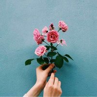 🎼 (@0op_30) 's Twitter Profile