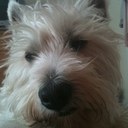 Becky Rutter - @beckyrutter - Twitter