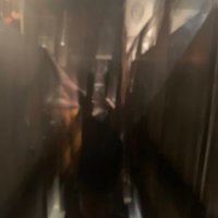 The mayor of slayghanistan (@maxoxo_97) 's Twitter Profile Photo The mayor of slayghanistan (@maxoxo_97) 's Twitter Profile Photo