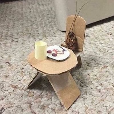 thrftedfructose's profile picture. 🏳️‍🌈bi (he/him) | fag !!! | photographer | filmmaker | illustrator | indefinitely anxious, sad, and horny :(