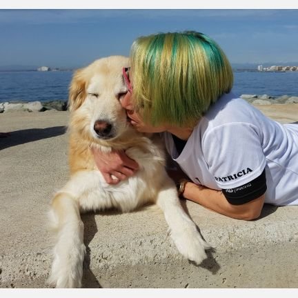 Patri_Cora's profile picture. Se puede vivir sin perro, pero no merece la pena.🐕🧡 Vegan💚 Wanderlust 💙Deporte para todo🏋️‍♀️🏃‍♀️💜🧠
