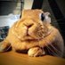 bigwig (@biggestwig) Twitter profile photo bigwig (@biggestwig) Twitter profile photo