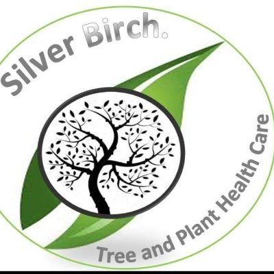 birch_silver's profile picture. Tree and plant vitality, you grow with the trees we treat.