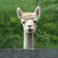 rip van stinkle (@vt__snowflake) 's Twitter Profile Photo rip van stinkle (@vt__snowflake) 's Twitter Profile Photo