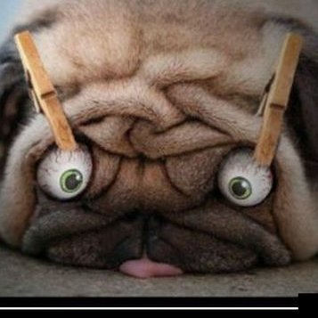 PckitLFSHVRcM4l's profile picture. 