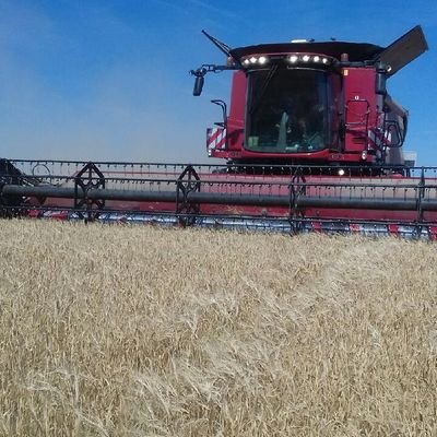 agripapa de 2 loulous, pragmatique et curieux qui n'aime pas la démagogie.
grande culture,
#phyto, #irrigation,#betteraves,#colza,#blé,#orge