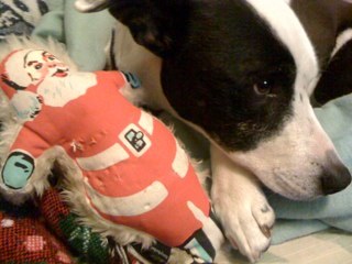 twistedvillage's profile picture. Wasn't my poor life a dream?