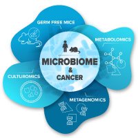Microbiome & Cancer Elinav Lab at DKFZ (@elinav_dkfz) 's Twitter Profile Photo Microbiome & Cancer Elinav Lab at DKFZ (@elinav_dkfz) 's Twitter Profile Photo