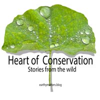 Heart of Conservation Podcast(@heart_podcast) 's Twitter Profile Photo