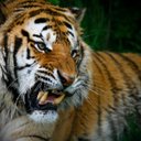 Marc Phelps - @fmailyguygamer - Twitter