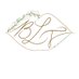 Bio Lips Technology (@lipsbio) Twitter profile photo Bio Lips Technology (@lipsbio) Twitter profile photo