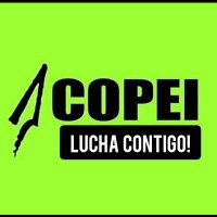 COPEI LUCHA(@copeilucha) 's Twitter Profile Photo