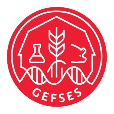 gefses_create Profile Picture