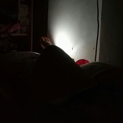 shenshenshh's profile picture. useless