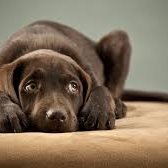 bendedenker1's profile picture. Overal is leven, voor elk wezen, al is het maar even.
O ja leugens moet je onthouden, de waarheden niet.
Wie zijn land haat, zorg dat deze regering verder gaat