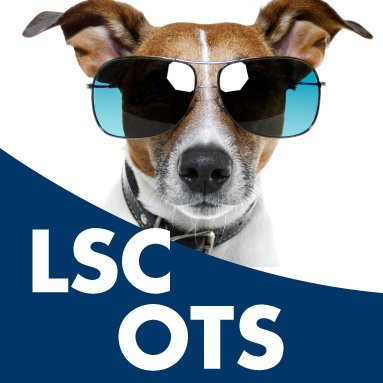 LSC-OTS Profile