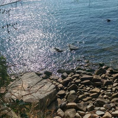 tcStephilosophy's profile picture. 