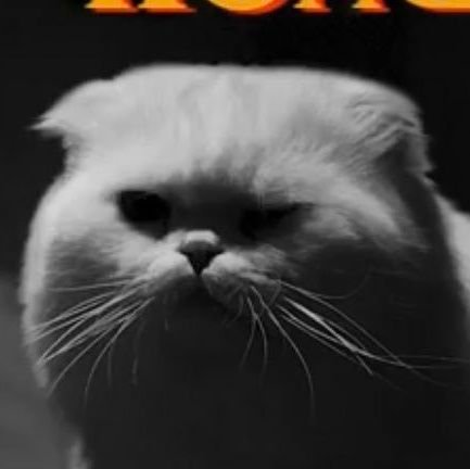 _howtofreedom's profile picture. ขอส่องหน่อยค่ะ รักน้องมากๆ #หนทางสู่อิสรภาพ

(รับวาดกิจกรรมโดเนทเพื่อสนับสนุนคังดาเนียลและองซองอู โดยไม่คิดค่าคอมมิชชั่นค่ะ)