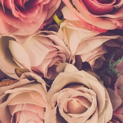 familymednurse's profile picture. Nurse and lover of science. She/her