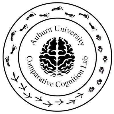 Twitter account for the Auburn University Comparative Cognition Lab. We study the cognitive processes of humans, birds, and canines.