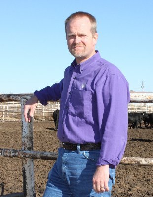 Professor in the College of Veterinary Medicine at Kansas State University - Beef Cattle Institute