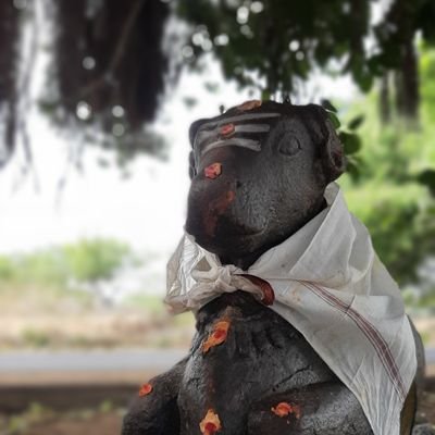 ArunPan81174122's profile picture. 