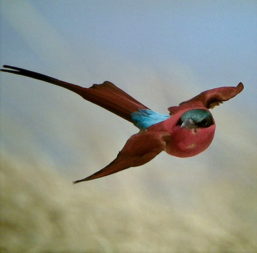 jeanettekalthof's profile picture. 