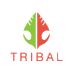 Tribal Vintage (@tribal_vintage) Twitter profile photo