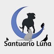 Santuario Luna 🇻🇪 INSTAGRAM(@SANTUARIOLUNA) 's Twitter Profile Photo