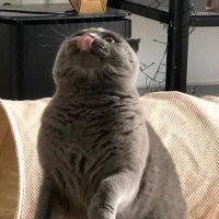 paul (@paul13256145) 's Twitter Profile