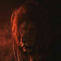 فولكان (@h6050sjf2ckx7bg) 's Twitter Profile