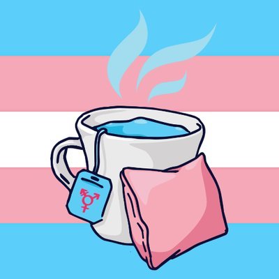 Association d'entraide et d'actions politiques Tourangelle par des personnes Trans pour des personnes Trans ☕