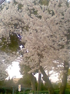 nagi_kuuya's profile picture. 二次元と音楽大好きですv
どうにかなるさ、いつかはね。
無理なく、なんなく、マイペースに。ゆっくり、まったり、私生活優先に。
まったりのんびり生きているかも。
メイン垢→@pso2_ship1_ng
フォローはメインにお願いします;:(∩´﹏`∩):;