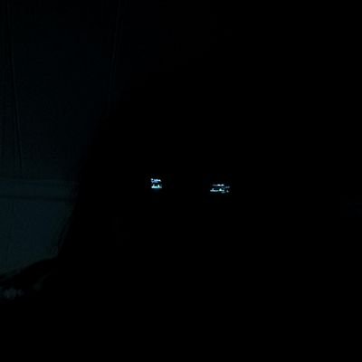 amberkavs's profile picture. 