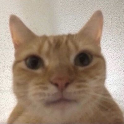 Just woke up, Swag is onさんのプロフィール画像