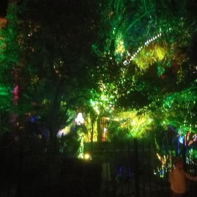 FXB72109347's profile picture. mes tweets n'engagent que moi...