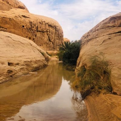 FahadTayma's profile picture. 