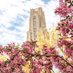 Pitt Sustainability (@SustainablePitt) Twitter profile photo