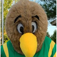 Northwood Hills Elementary PTA (@nheptafalcons) 's Twitter Profile