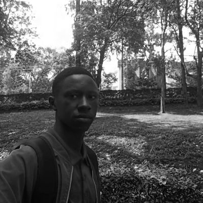 Tororei4's profile picture. 