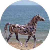 Murat + (@pozitif25894797) Twitter profile photo