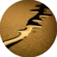 Essence (@corpsecrits) 's Twitter Profile Photo