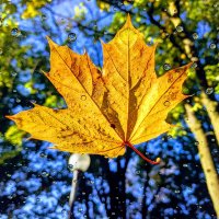 Reality Remediator (@rremediator) 's Twitter Profile