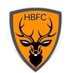 Harts of Bracknell F.C First (@HartsBracknell) Twitter profile photo