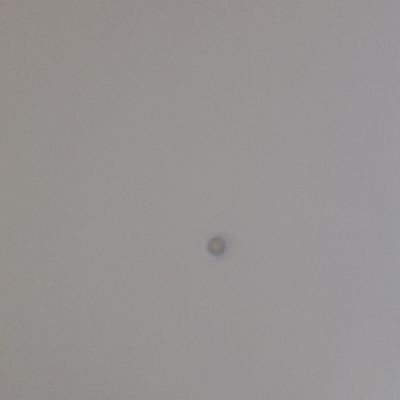 luisknietoq's profile picture. 