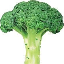 I am a Broccoli ... learn here ⬇️⬇️
https://t.co/8QenPc4FHF

#ATHybrids